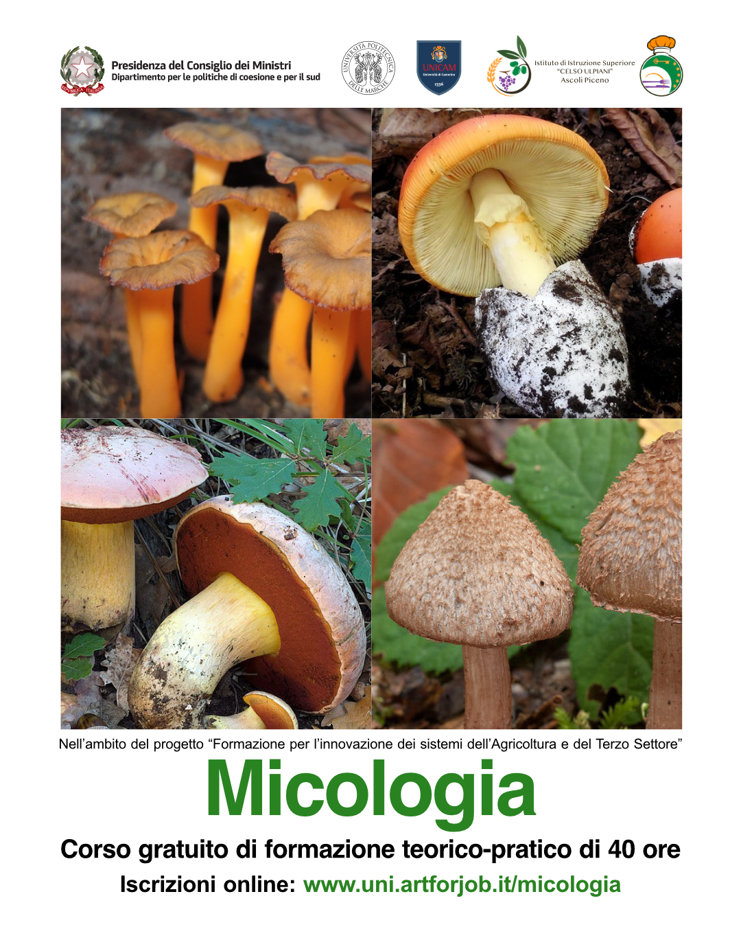 Corso Micologia