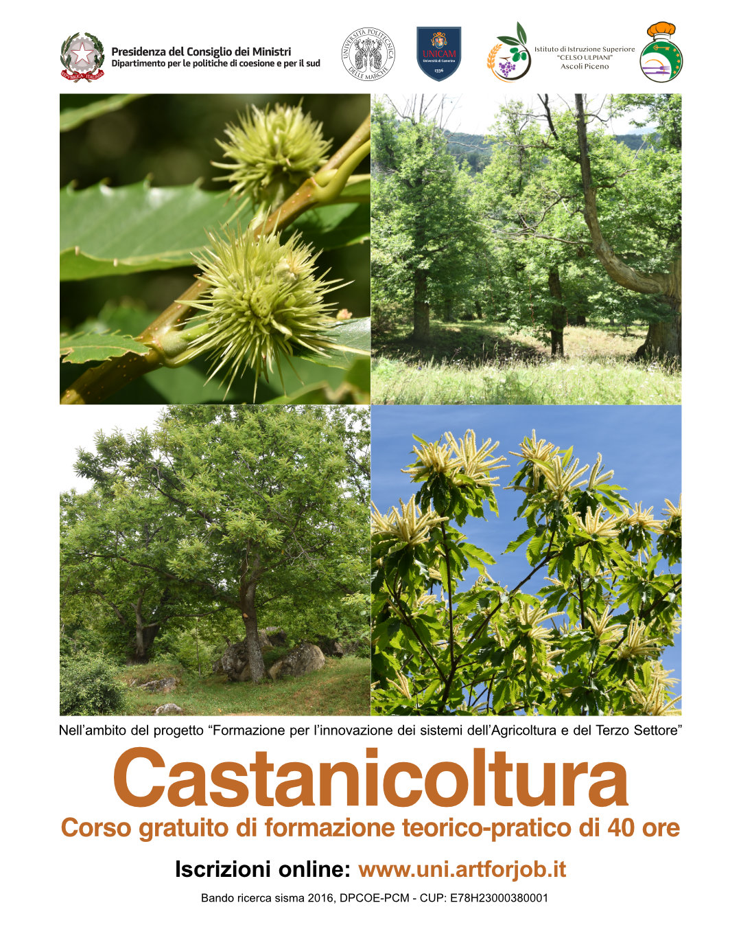Castagne-Insta