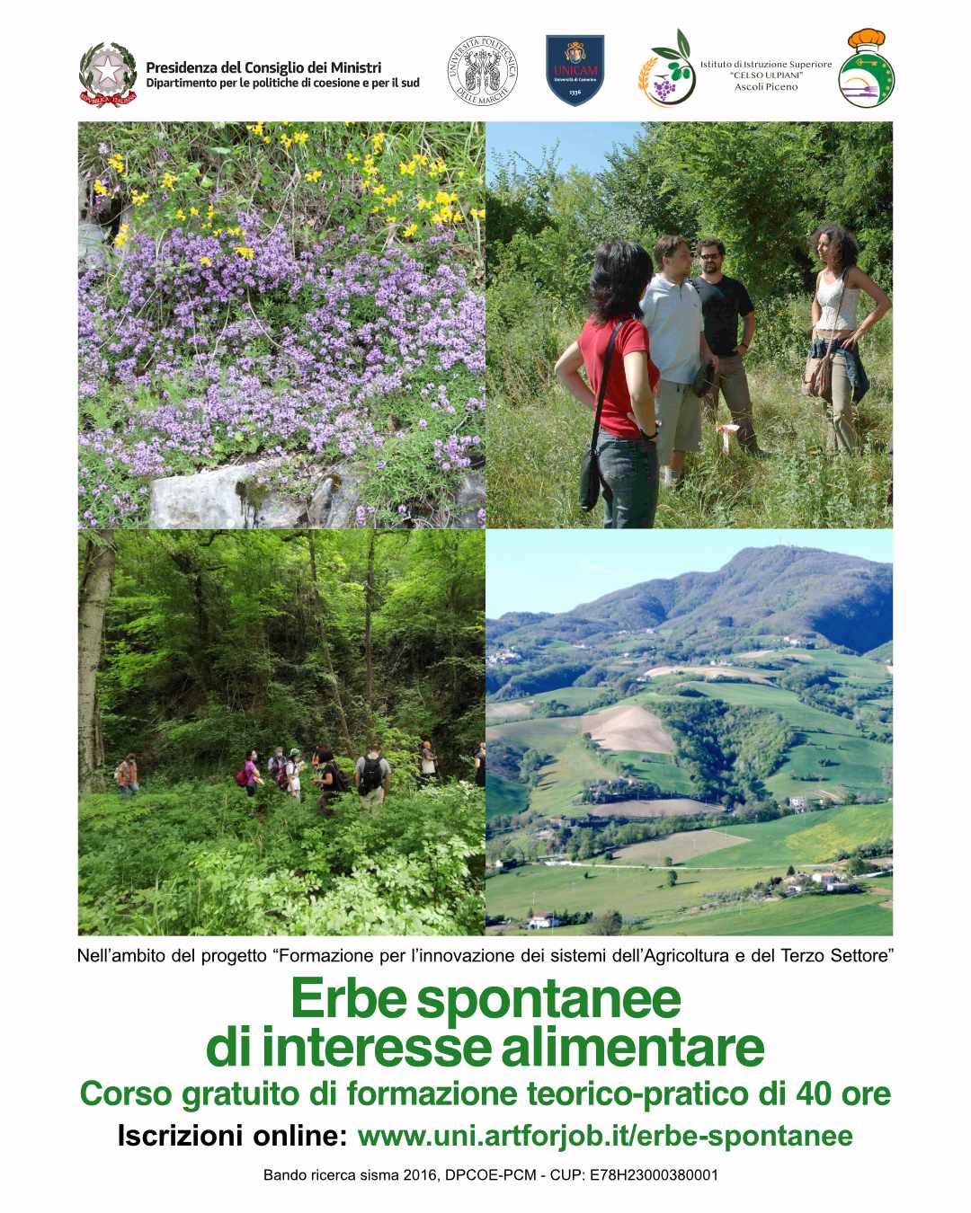 ERBE-Insta