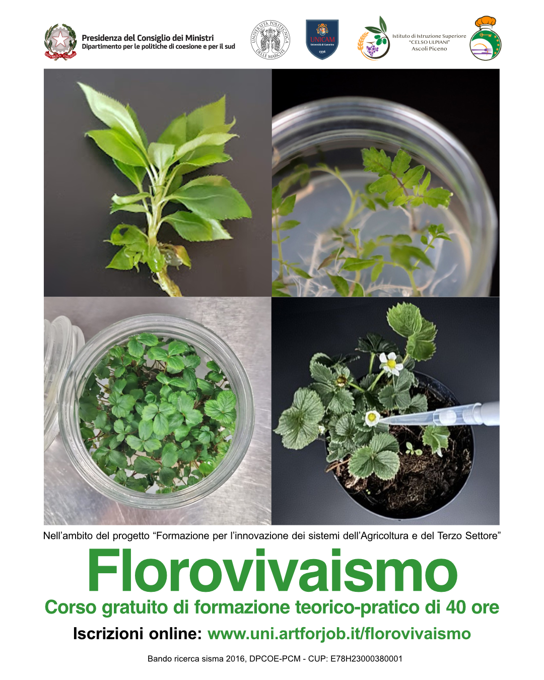 Florovivaismo-Insta