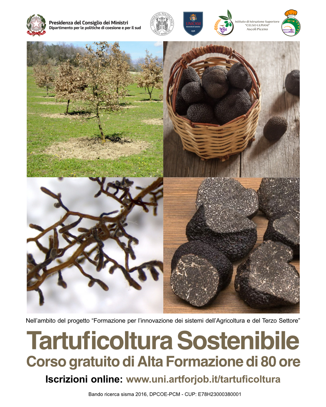 Tartuficoltura-Insta