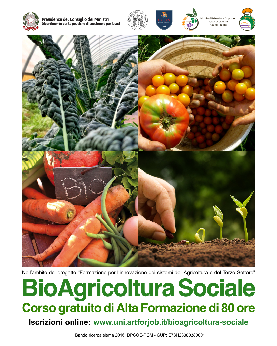 BioAgricoltura-Insta